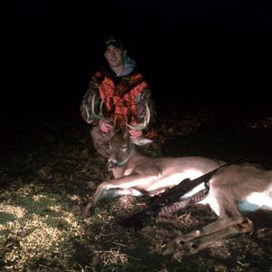 Meet your Posher, Owen